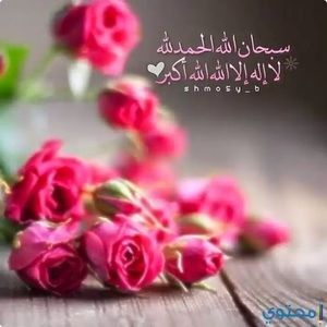 Meet your Posher, Hanan